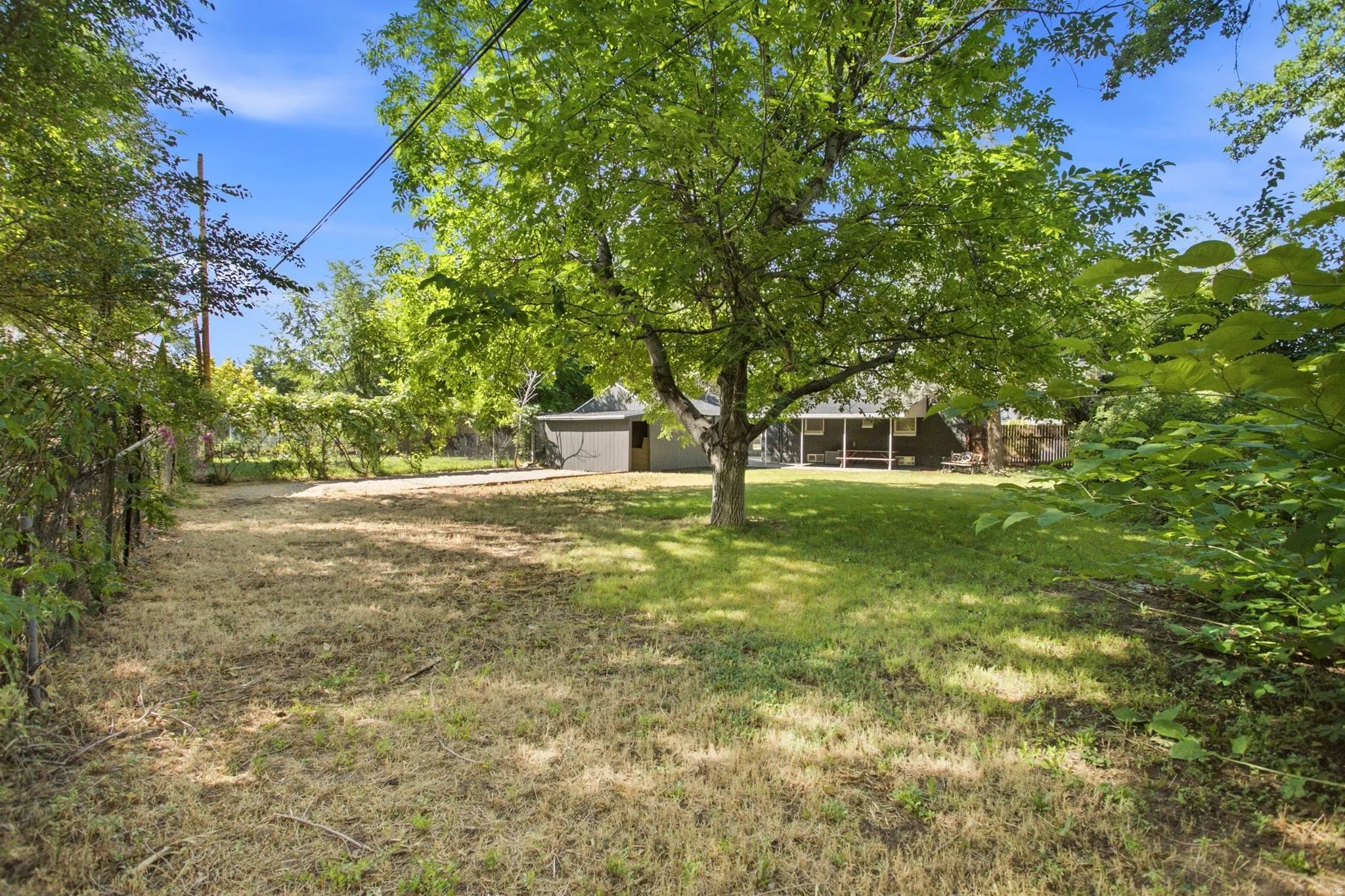 Expansive grounds featuring mature shade trees, open lawn area, and detached outbuildings