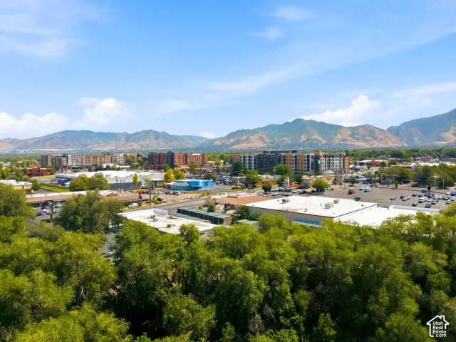 Aerial view showcasing mature landscaping with abundant tree canopy, commercial and residential mixed-use development, and mountain backdrop
