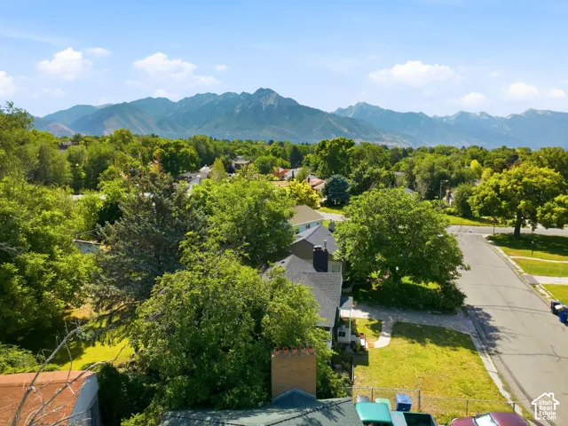Expansive neighborhood setting featuring mature trees, paved streets, and distant mountain ranges