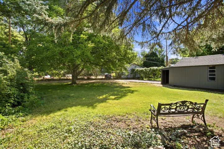 Expansive backyard featuring a mature deciduous tree, a detached storage shed, and a paved driveway