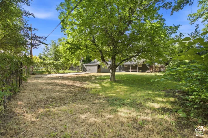 Expansive grounds featuring mature shade trees, open lawn area, and detached outbuildings
