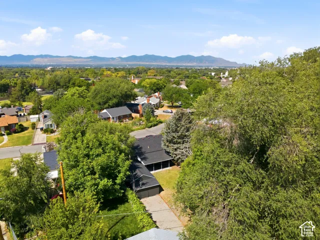Expansive treelined neighborhood with distant mountain scenery