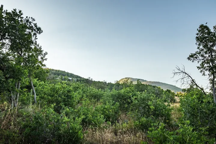 10091 N Himmel Ct, Park City, Utah 84060