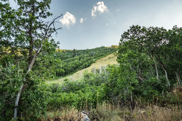 10091 N Himmel Ct, Park City, Utah 84060
