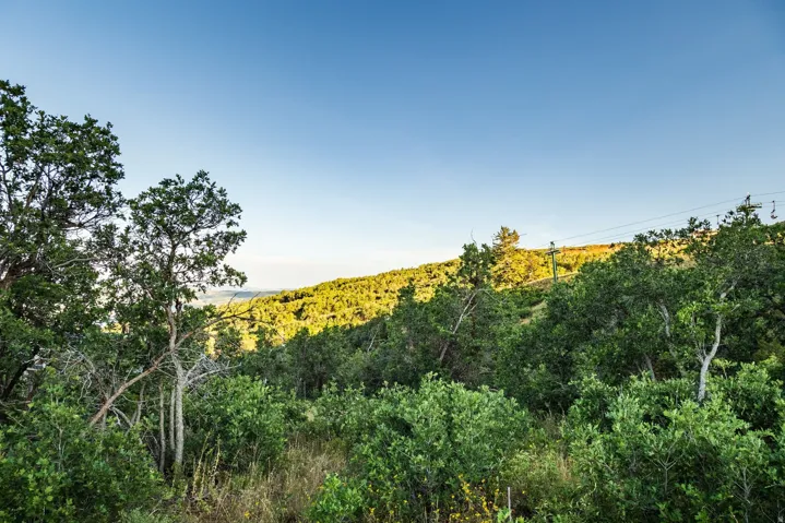 10091 N Himmel Ct, Park City, Utah 84060