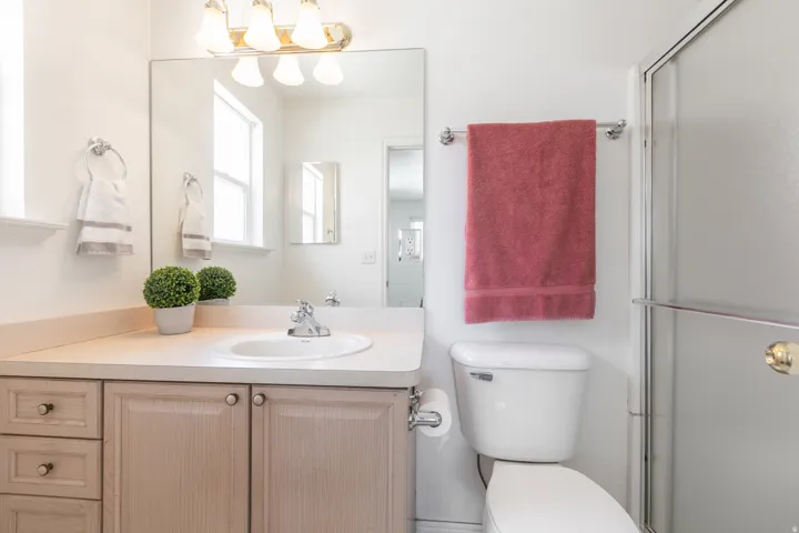 Owners 3/4 Bath featuring large walk-in shower and medicine cabinet