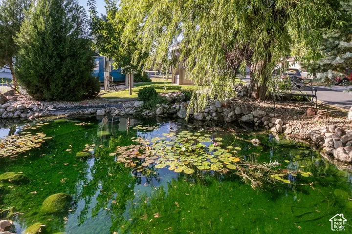 Tranquil pond with lily pads, surrounded by rock landscaping and mature trees