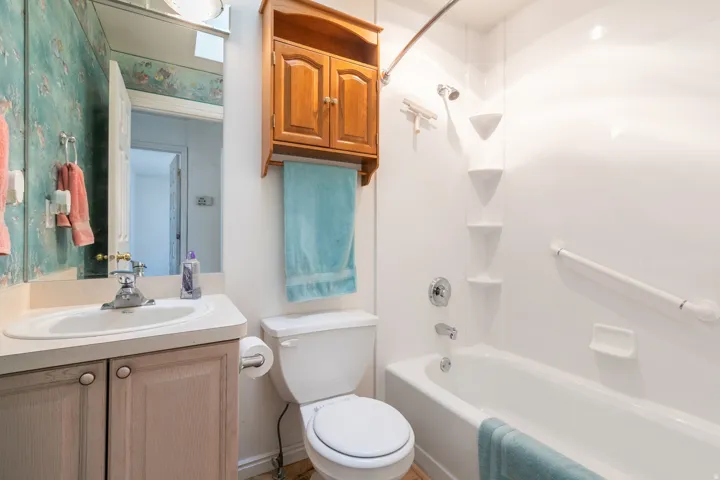 Guest suite Bath with skylight