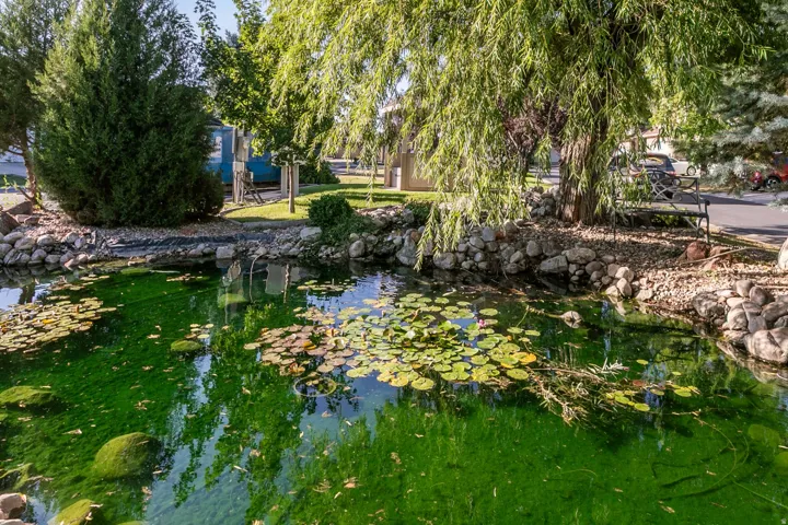 Tranquil pond with lily pads, surrounded by rock landscaping and mature trees