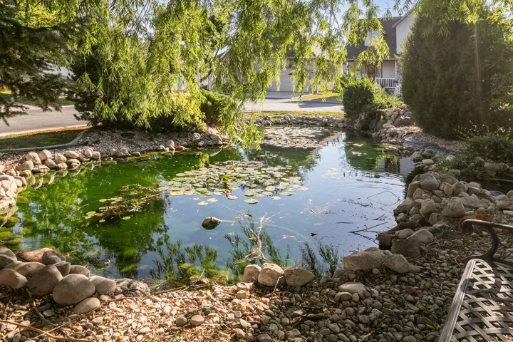Koi Pond with relaxation bench and rock-lined edges, aquatic plants, and gravel landscaping