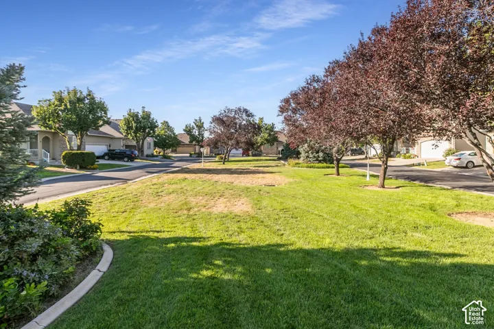 Expansive green space featuring a manicured lawn and mature deciduous trees