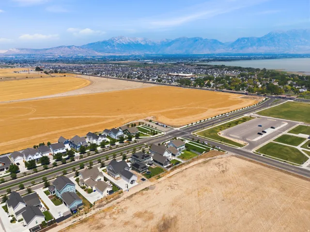 Newly constructed residential community featuring modern homes with clean architectural lines, situated along a tree-lined boulevard