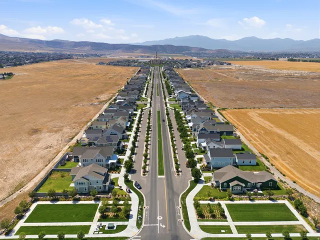 Newly developed residential community featuring tree-lined boulevard with wide streets, professional landscaping, and modern single-family homes