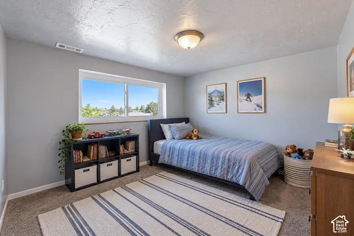 Neutral-toned interior space featuring light grey walls, textured ceiling, wall-to-wall carpeting, flush-mount ceiling light fixture, and a sliding window