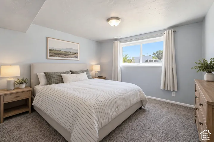Neutral-toned wall paint, neutral carpeting, sliding window, and a central ceiling-mounted light fixture