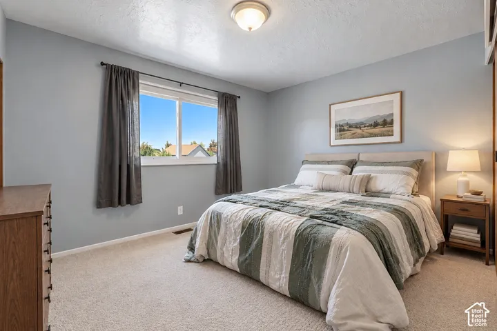 Neutral-toned wall paint, neutral carpeting, sliding window, and flush-mount ceiling lighting