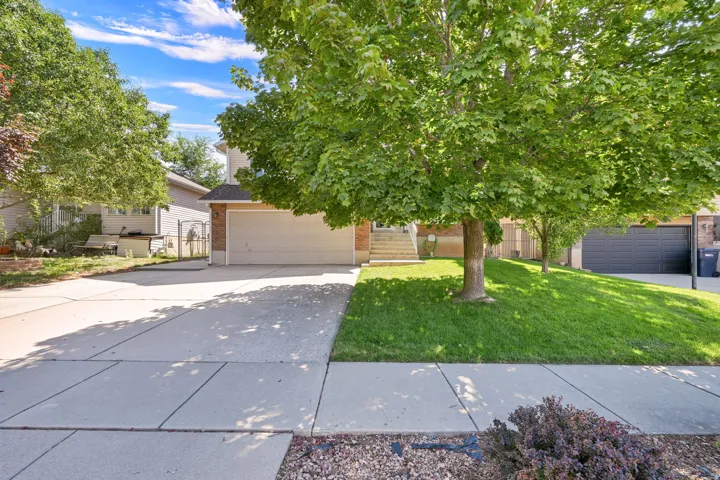 Welcoming front elevation showcasing a mature tree-lined lot with expansive concrete driveway, manicured lawn, and established landscaping