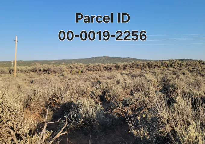 Expansive undeveloped land featuring natural vegetation and distant hillsides