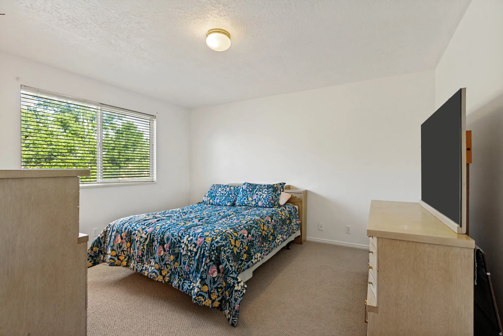 Bright room featuring a window with horizontal blinds, neutral carpet, and a ceiling-mounted light fixture