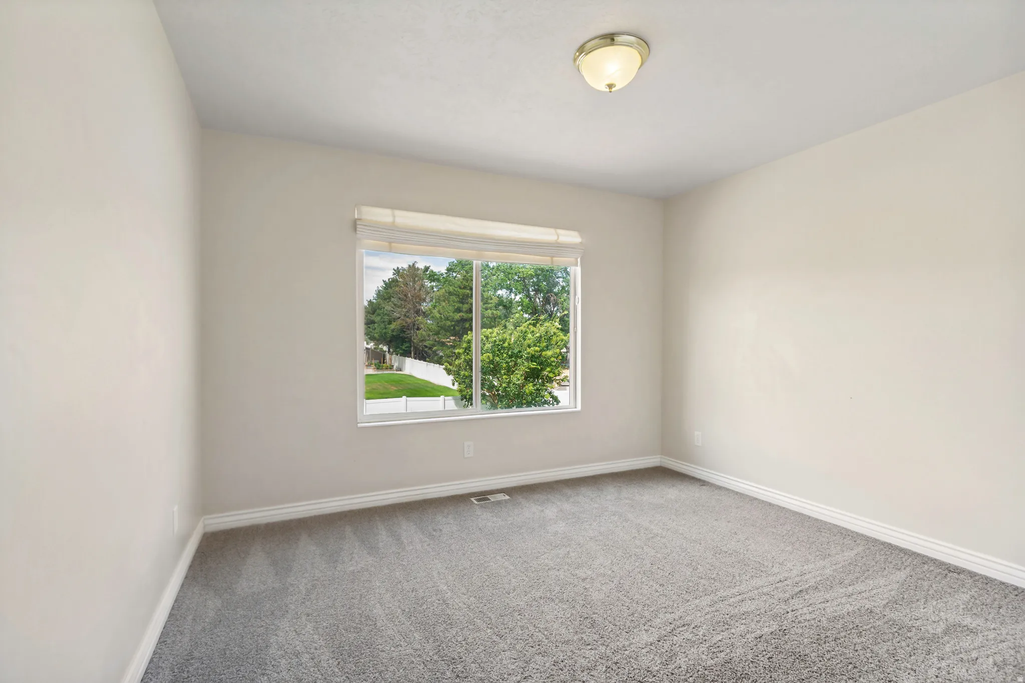 Room featuring a window with exterior views of trees, light gray carpet, white baseboards, and neutral-toned walls