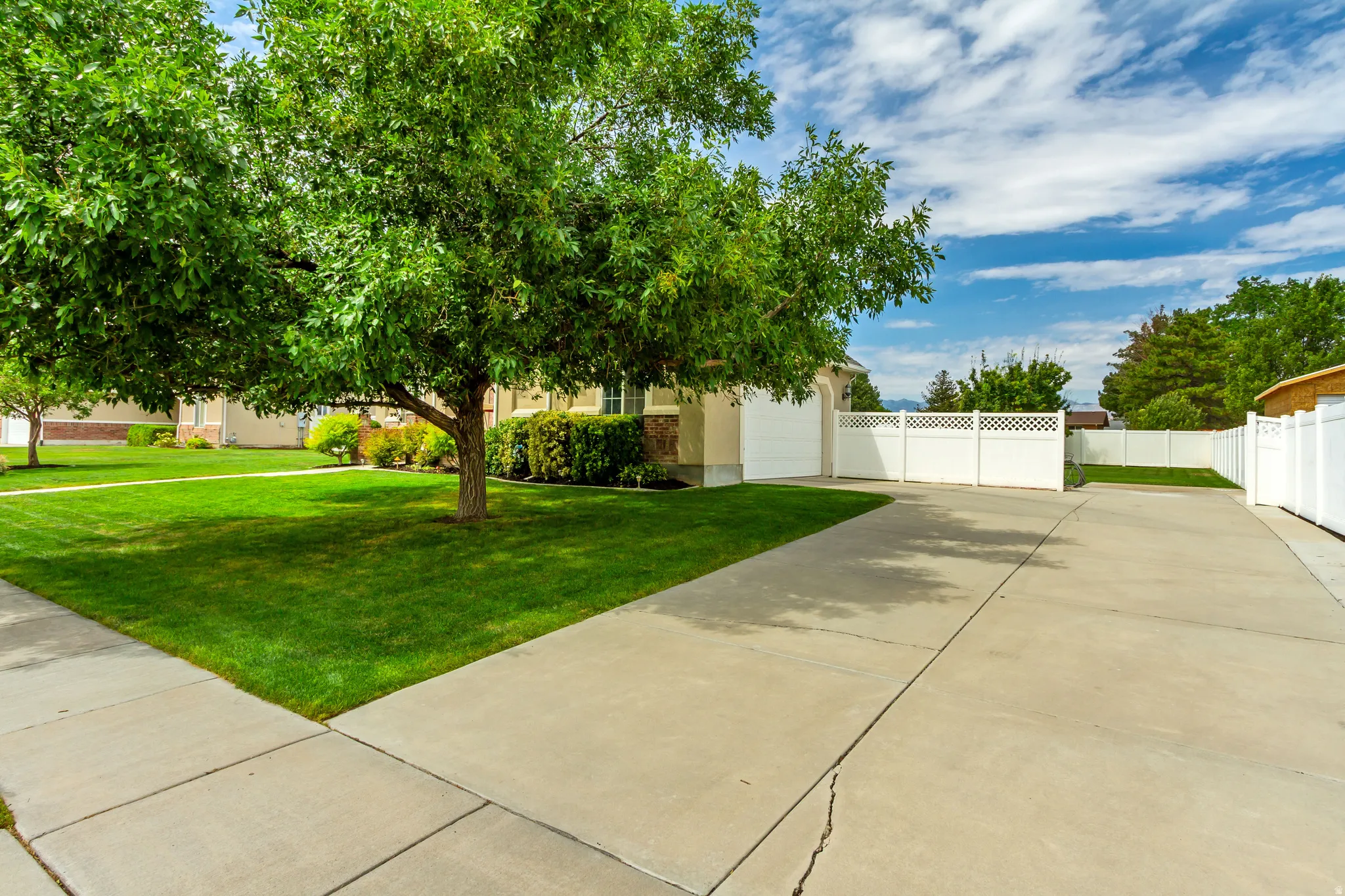 Expansive concrete driveway bordered by mature trees and a manicured lawn