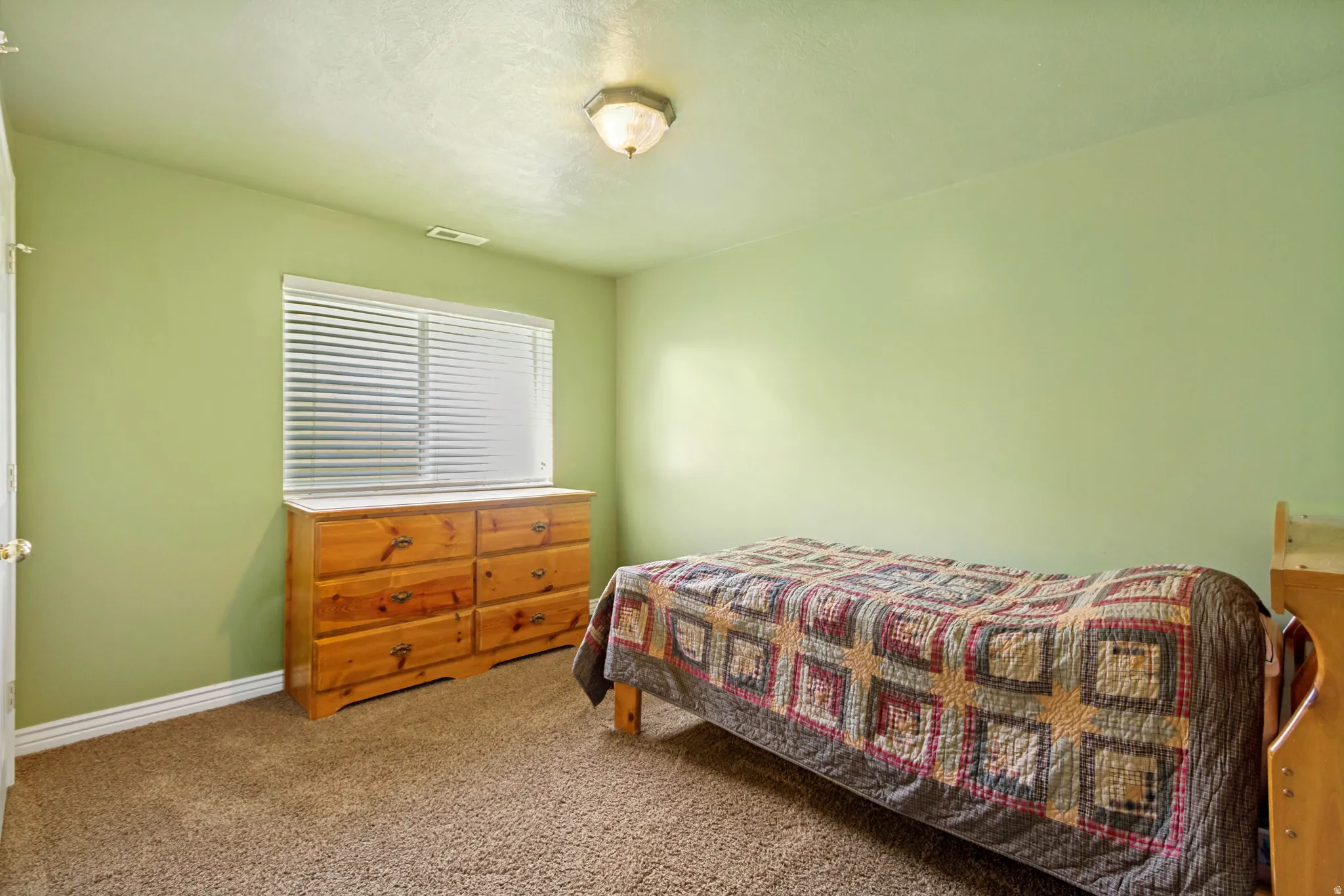 Room featuring light green walls, a window with horizontal blinds, a ceiling-mounted light fixture, and textured carpet flooring