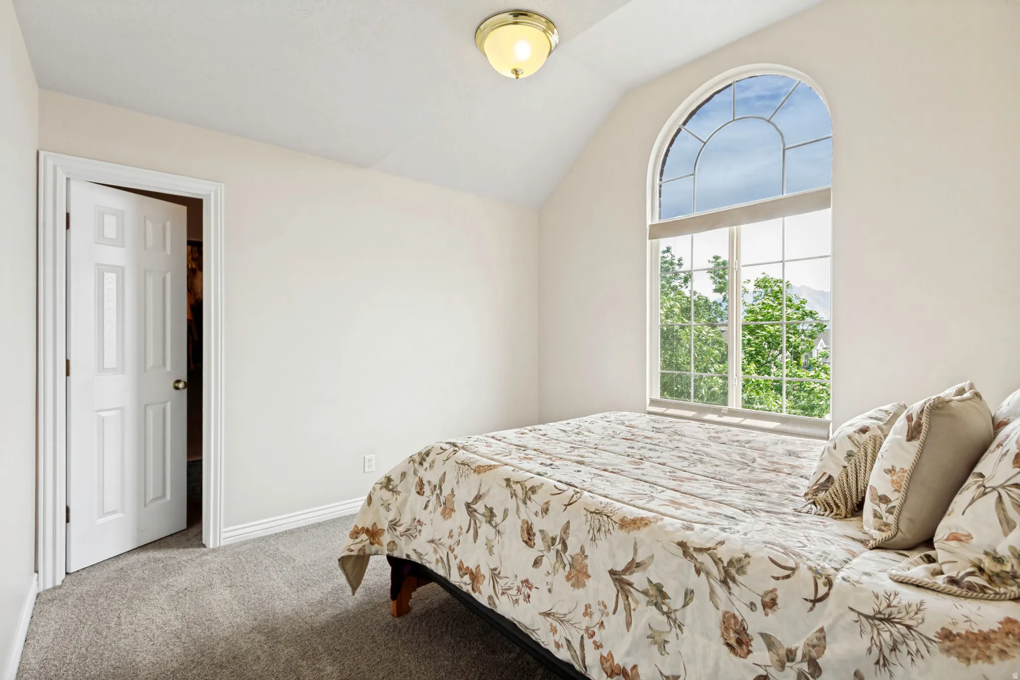 Arched picture window with mountain and tree scenery