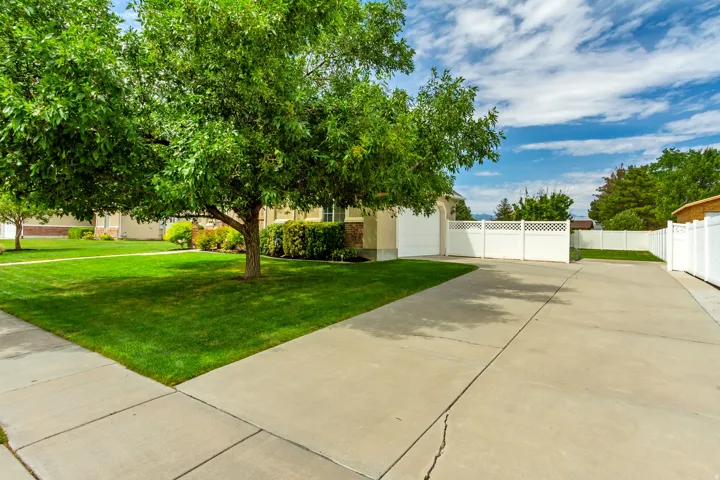 Expansive concrete driveway bordered by mature trees and a manicured lawn