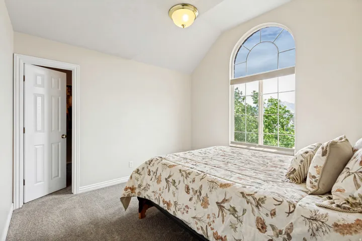 Arched picture window with mountain and tree scenery