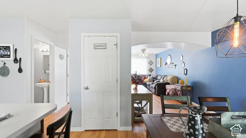 Interior space featuring wood-finish flooring, a white paneled pantry door, and an arched doorway leading to an additional living area with a blue accent wall