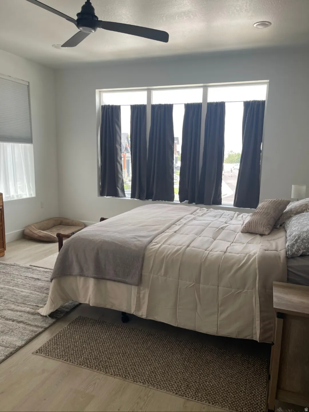 Spacious room featuring multiple windows, light wood-finish flooring, and a contemporary ceiling fan