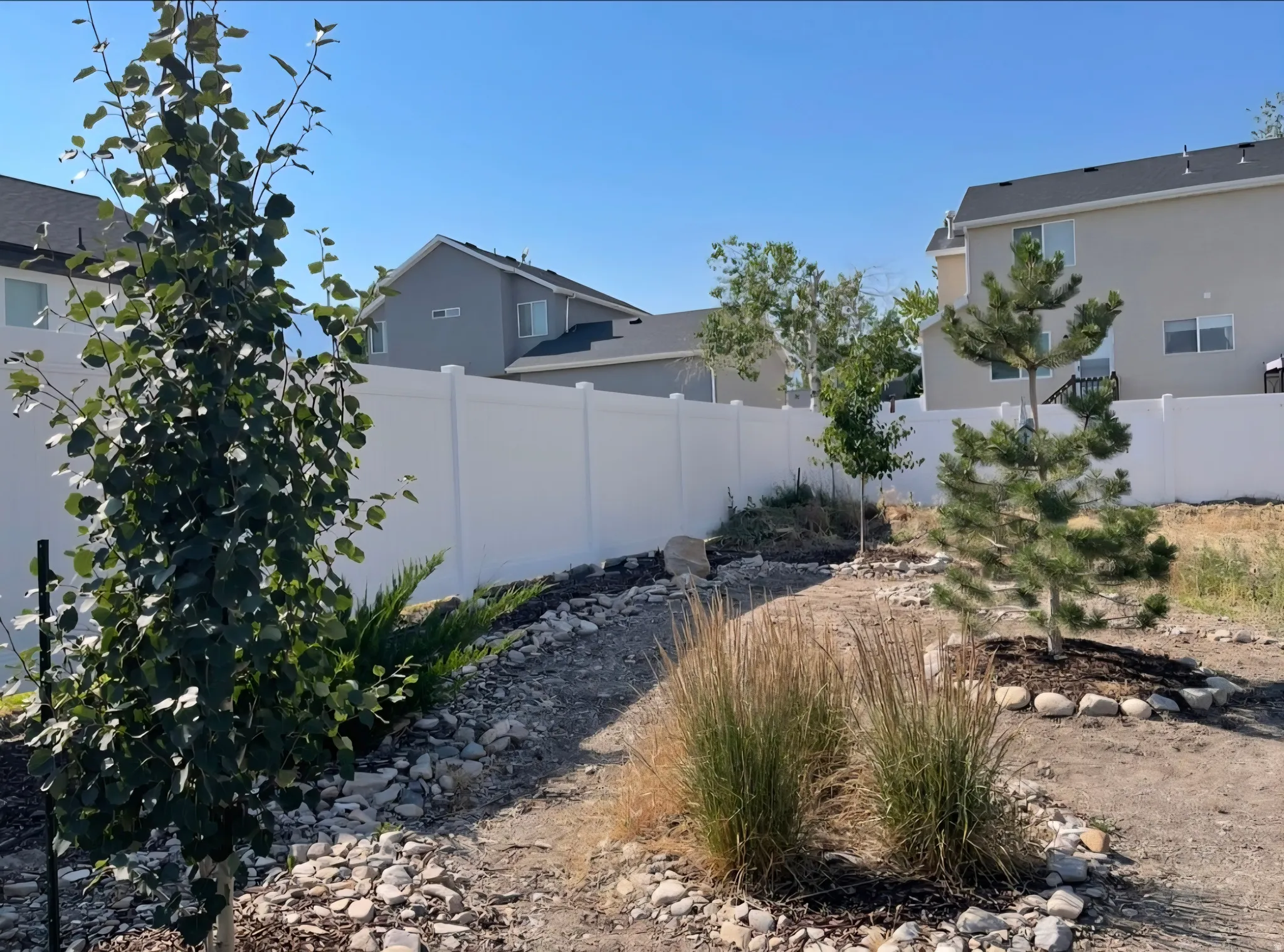 Landscaped backyard with a white vinyl privacy fence, established trees, and decorative rock beds