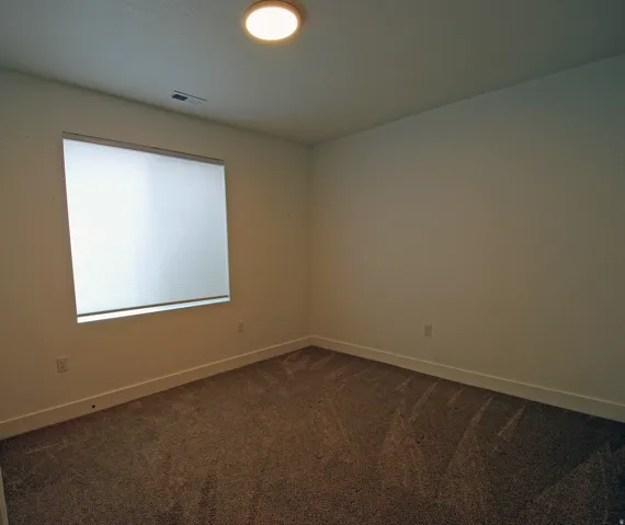 Neutral wall paint, textured carpeting, window with roller shade, and ceiling-mounted light fixture