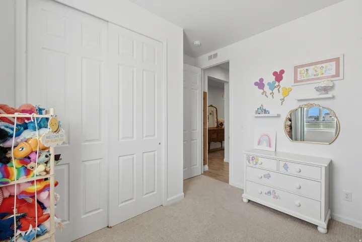White wall paint, light-colored carpeting, white paneled closet doors, and wood-finish flooring visible through the doorway