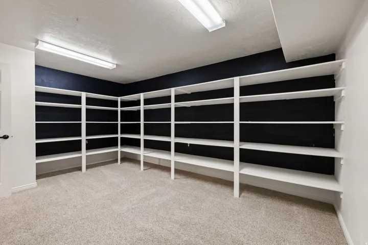 Expansive storage area featuring abundant built-in shelving, plush carpet flooring, and integrated overhead lighting