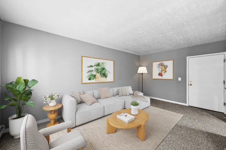 Light gray wall paint, textured ceiling, and neutral carpet flooring