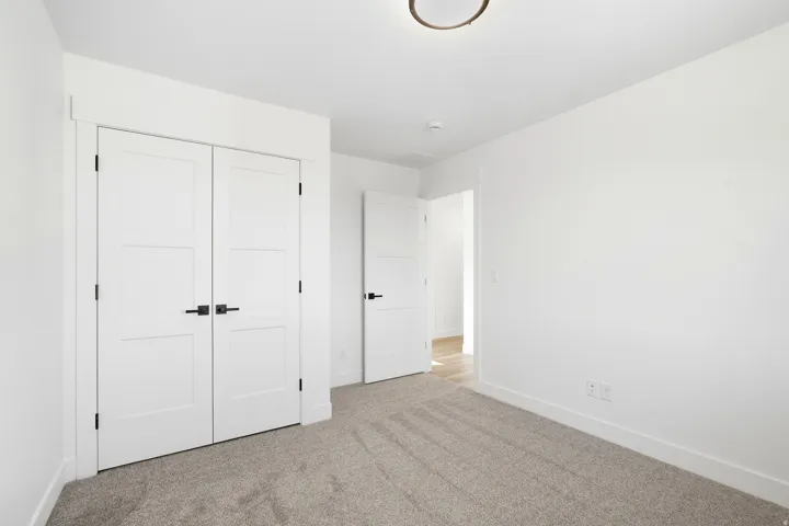 Plush carpeting, crisp white walls, contemporary semi-flush mount lighting, and modern panel doors with matte black hardware