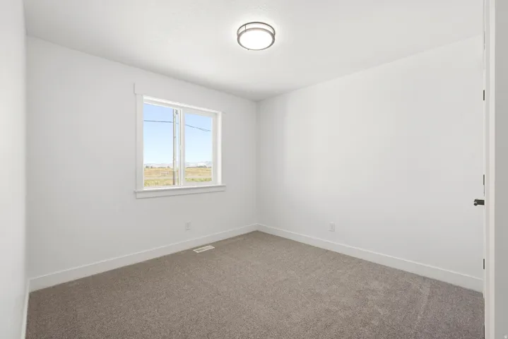 Neutral wall color, carpeted flooring, single window, flush mount ceiling fixture, and a solid interior door