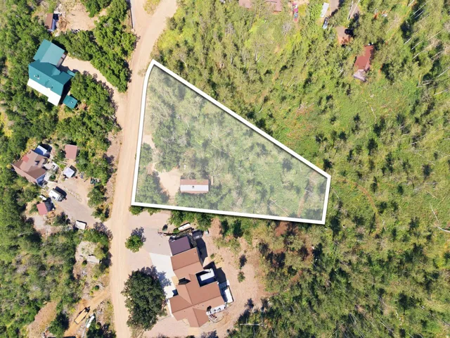 Wooded lot with a triangular boundary outline