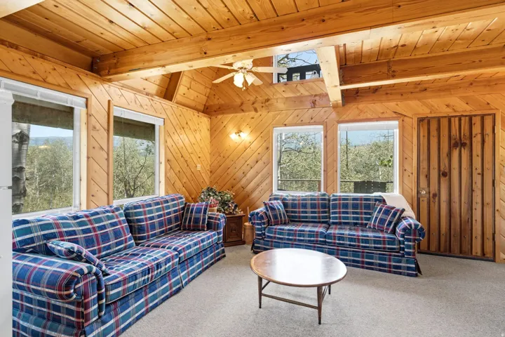 Vaulted wood-paneled ceiling with exposed beams, wood-paneled walls, multiple windows, and a built-in wood door