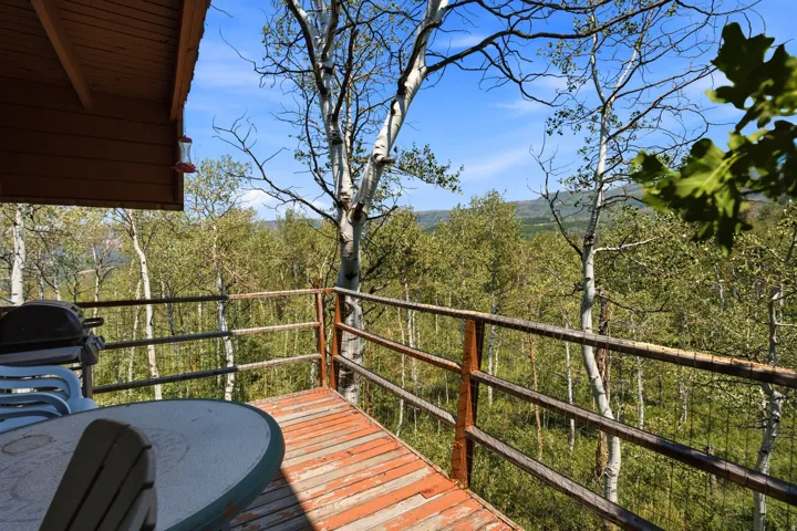 Wood-plank deck with metal railings overlooking a dense forest