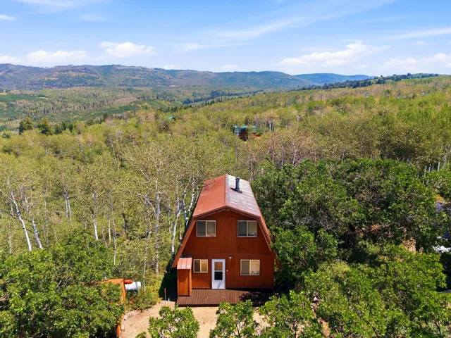 A-frame style residence with brown siding and a brown roof