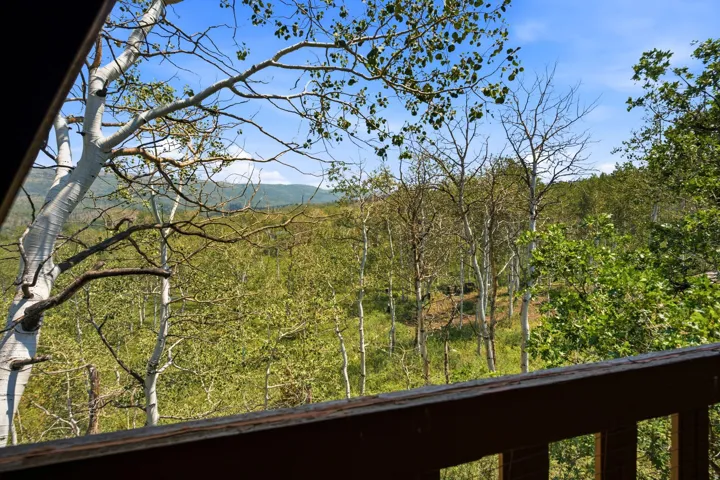 Expansive tree-lined terrain with a mountainous backdrop, framed by a wooden deck railing