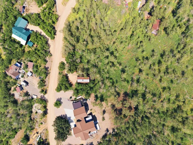 Expansive land parcel featuring dense natural vegetation and a visible dirt road
