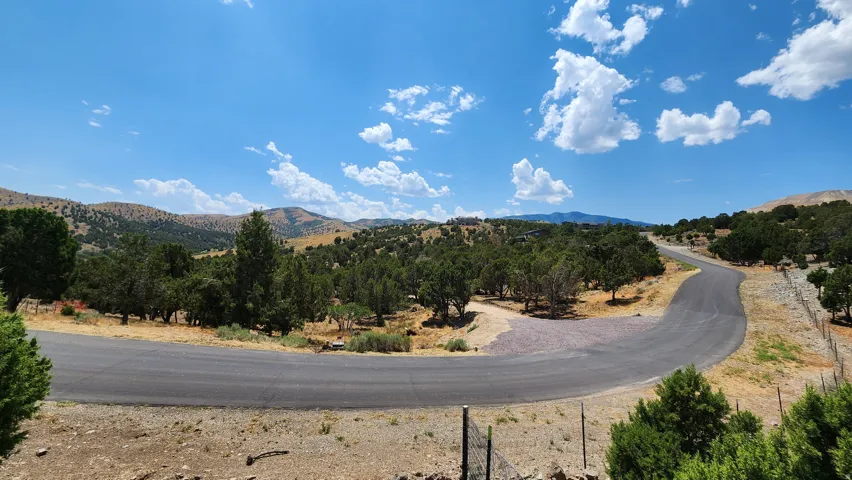 Paved road winding through a landscape of mature trees and distant hills under a clear sky