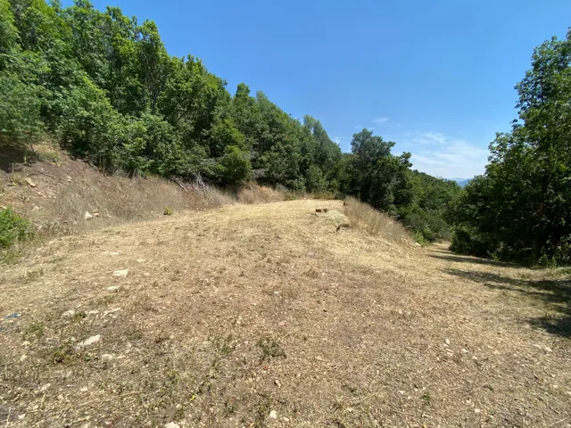 Expansive land parcel featuring natural terrain