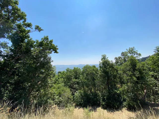 Expansive natural landscape featuring dense tree cover and distant mountain ranges under a clear sky