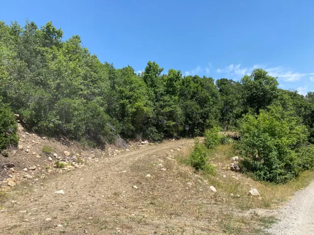 Expansive parcel with abundant mature foliage and a clear blue sky