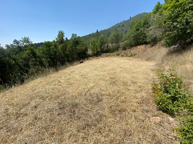 Cleared land parcel with a mountainous backdrop, surrounded by mature trees and natural vegetation