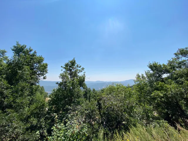 Expansive mountain range backdrop framed by mature deciduous trees and a clear blue sky